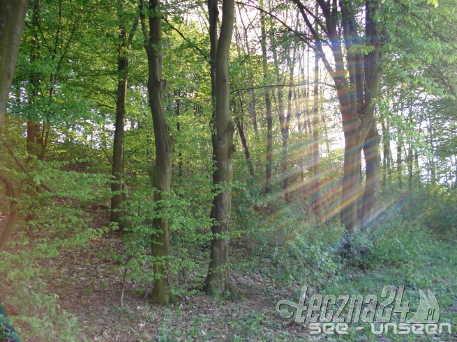 Łęczna