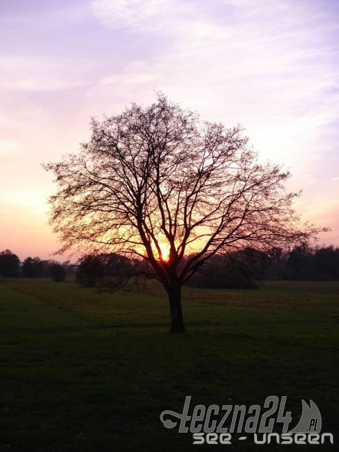 Łęczna