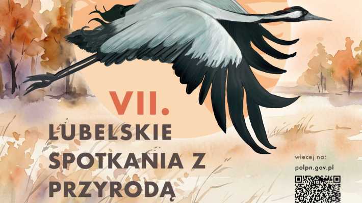 Pożegnanie żurawi w Poleskim Parku Narodowym. Przyrodnicza uczta już za tydzień