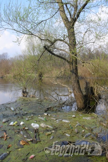 Łęczna