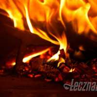 zdjęcie Michele Fit & Cafe