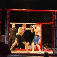 zdjęcie I Gala MMA w Łęcznej