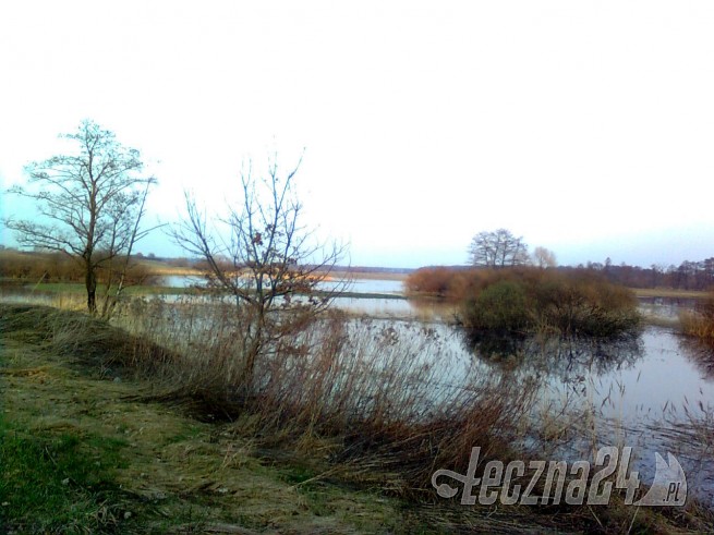 Łęczna